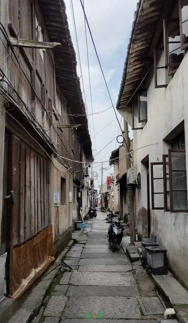 白化摇篮曲